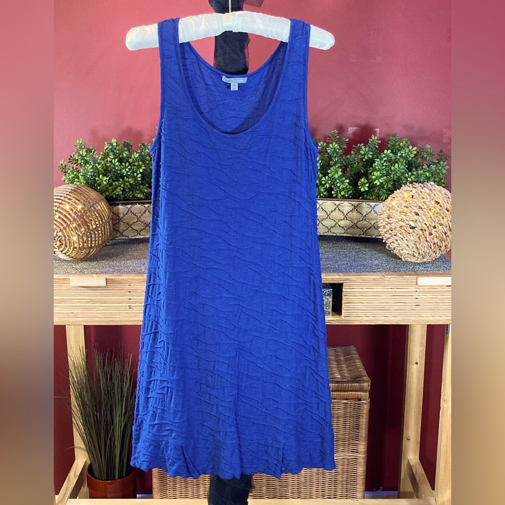 Blue Hornytoad Sundress